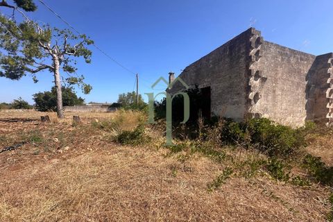 Ruïna a Carovigno, Brindisi, Carovigno - € 225.000 | Ref: Casolare e Trul - foto 29